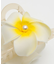【カヒコ】プルメリアリアヘアクリップ