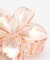 【カヒコ】アモプルメリアヘアクリップ