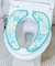 【カヒコ】ホロイビーチトイレシート