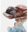 【カヒコ】スイムブラウンホヌフィギュアＳ