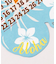 【カヒコ】【2026年カレンダー】HIBISCUS