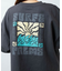 【カヒコ】デインＴシャツ【SURF&Palms】