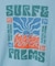 【カヒコ】デインメンズＴシャツ【SURF&Palms】