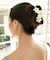 【カヒコ】プアレイヘアクリップ