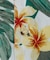 【カヒコ】ハカラウメンズシャツ