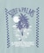 【カヒコ】【UVカット加工】アラホウメンズＴシャツ【SURF&Palms】