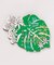 【カヒコ】【2027年カレンダー】MONSTERA