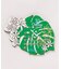 【カヒコ】【2027年カレンダー】MONSTERA