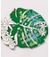 【カヒコ】【2027年カレンダー】MONSTERA