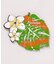 【カヒコ】【2027年カレンダー】MONSTERA