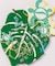 【カヒコ】【2027年カレンダー】MONSTERA
