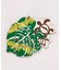【カヒコ】【2027年カレンダー】MONSTERA