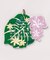 【カヒコ】【2027年カレンダー】MONSTERA