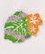 【カヒコ】【2027年カレンダー】MONSTERA
