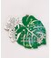 【カヒコ】【2027年カレンダー】MONSTERA