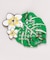 【カヒコ】【2027年カレンダー】MONSTERA