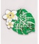【カヒコ】【2027年カレンダー】MONSTERA