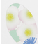 【カヤ】夏の透明うちわ