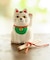 【カヤ】まねき猫みくじ