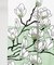 【カヤ】花見中暖簾