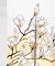 【カヤ】花見中暖簾