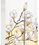 【カヤ】花見中暖簾