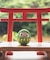 【カヤ】豆無地だるま