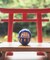 【カヤ】豆無地だるま