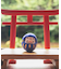 【カヤ】豆無地だるま