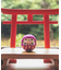 【カヤ】豆無地だるま
