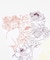【カヤ】猫花手拭