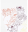 【カヤ】猫花手拭