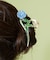 【カヤ】花めくポピーヘアクリップ