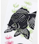【カヤ】重ね金魚手拭