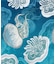 【カヤ】夏華二部式浴衣