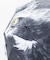 【カヤ】【遮光率90%以上】獣面相日傘（晴雨兼用）