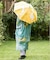 【カヤ】【遮光率90%以上】四季の春風日傘（晴雨兼用）