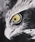 【カヤ】獣面相メンズシャツ