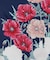 【カヤ】阿芙蓉ならい羽織