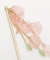 【カヤ】花はらりかんざし