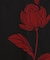 【カヤ】輪の花ワンピース