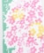 【カヤ】しだれ桜手拭