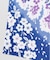 【カヤ】しだれ桜手拭