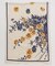 【カヤ】花綴りストール