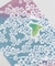 【カヤ】桜とメジロ手拭
