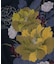 【カヤ】【ＵＶカット加工】花綴り羽織