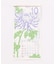 【カヤ】【２０２７年カレンダー】花暦