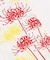 【カヤ】【２０２７年カレンダー】花暦