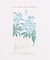 【カヤ】【２０２７年カレンダー】花暦