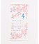 【カヤ】【２０２７年カレンダー】花暦